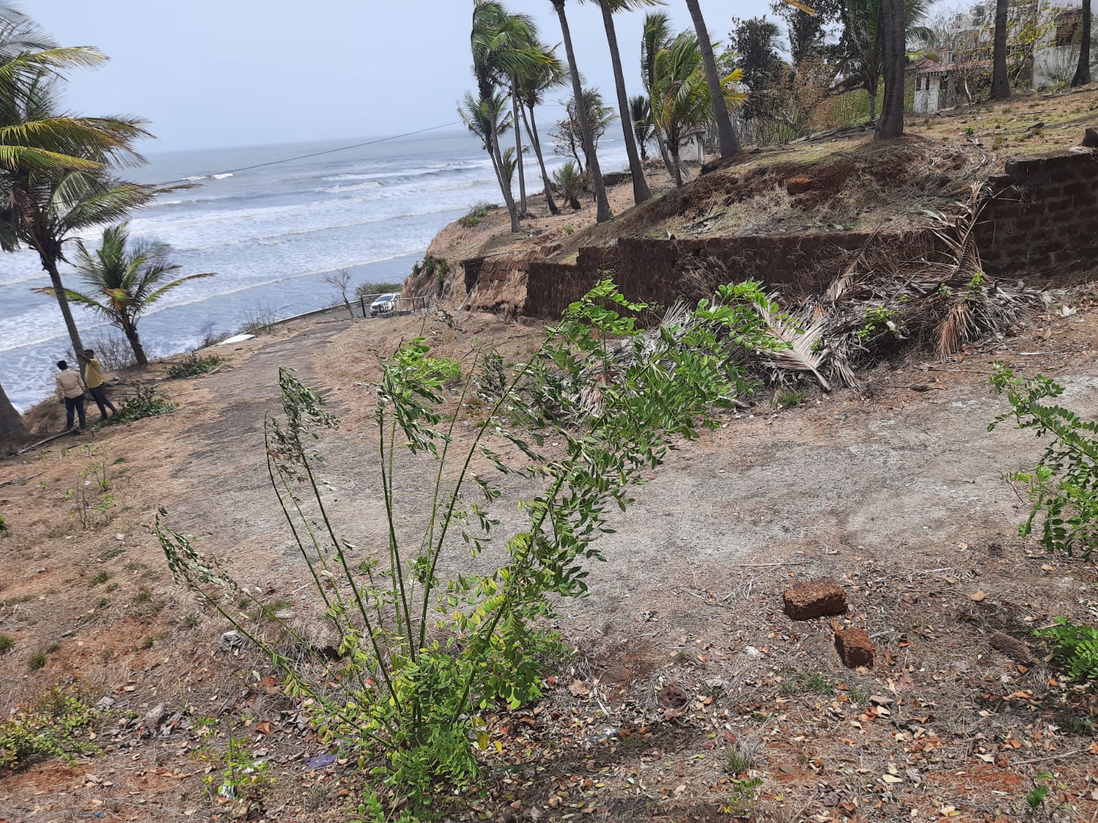 Land parcels offered by ECO TRADERS in Ratnagiri district, Maharashtra
