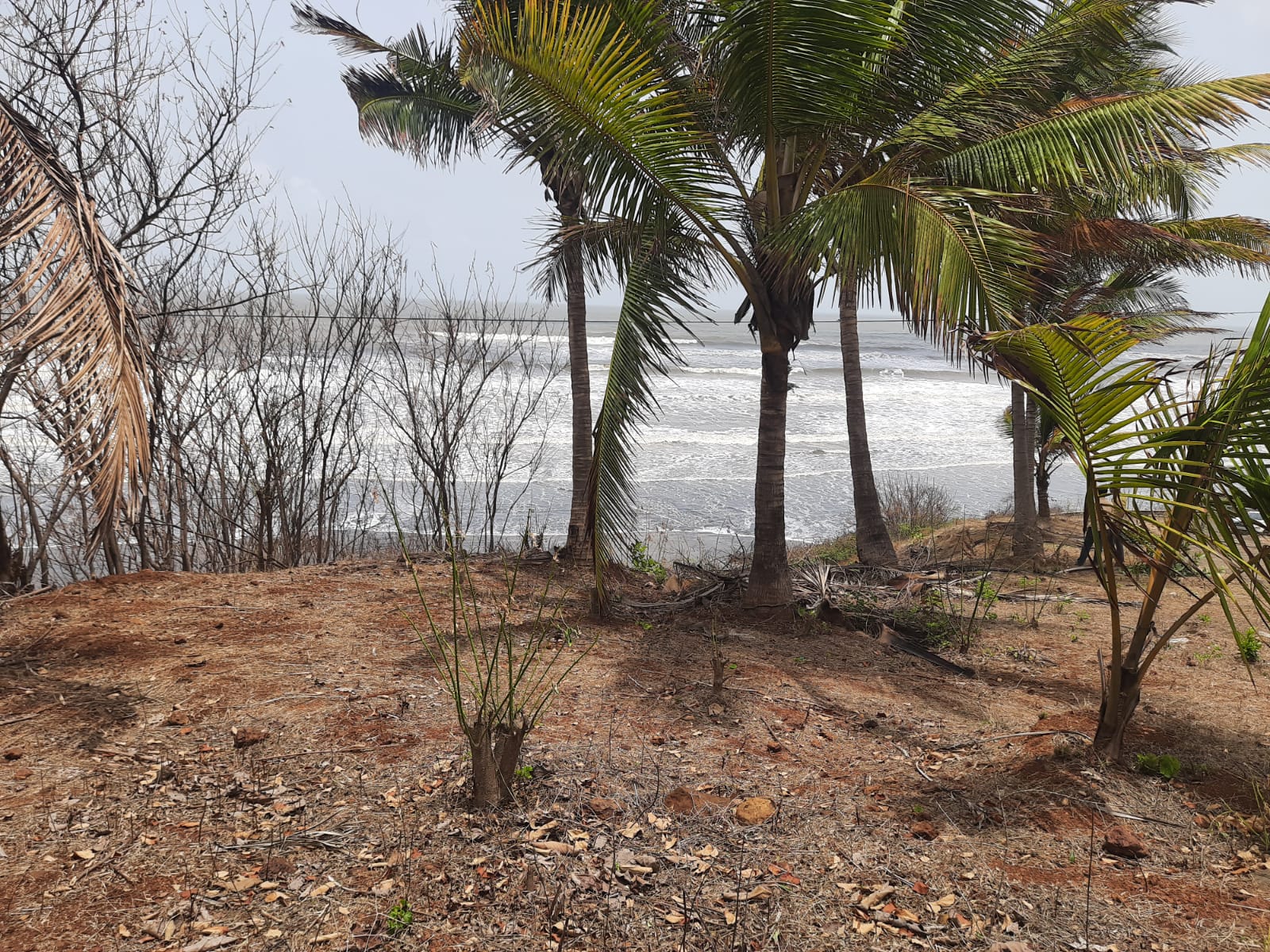 Land parcels offered by ECO TRADERS in Ratnagiri district, Maharashtra
